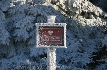 Tablicza 'Rezerwat przyrody' od strony Schroniska na Śnieżniku