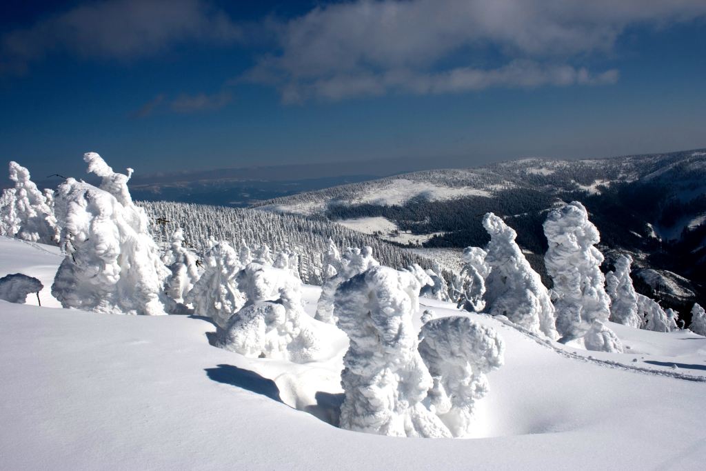 Śnieżnik